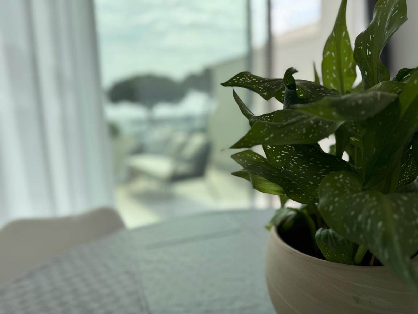 Iitana Luxury Apartment - Fronte Mare Con Vasca Idromassaggio คาตาเนีย ภายนอก รูปภาพ